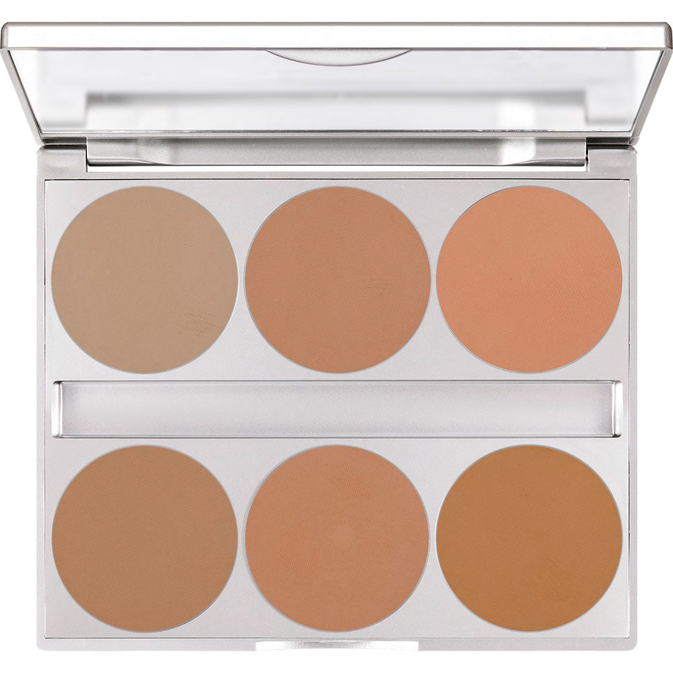 DUAL FINISH PALETTE 6 COLORS 09126/00 10g